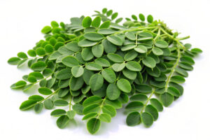 Hojas de moringa